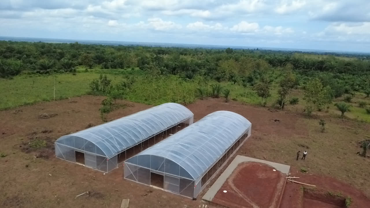 Bénin, Abomey-Calavi : 2 serres de 300 m² installées par Serre Ivoire