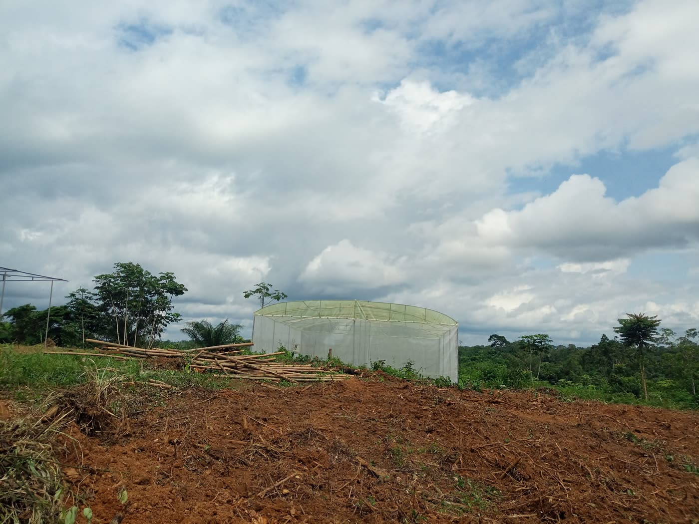 Notre première serre tunnel, 100 m² à Atéhou (Serre Ivoire)