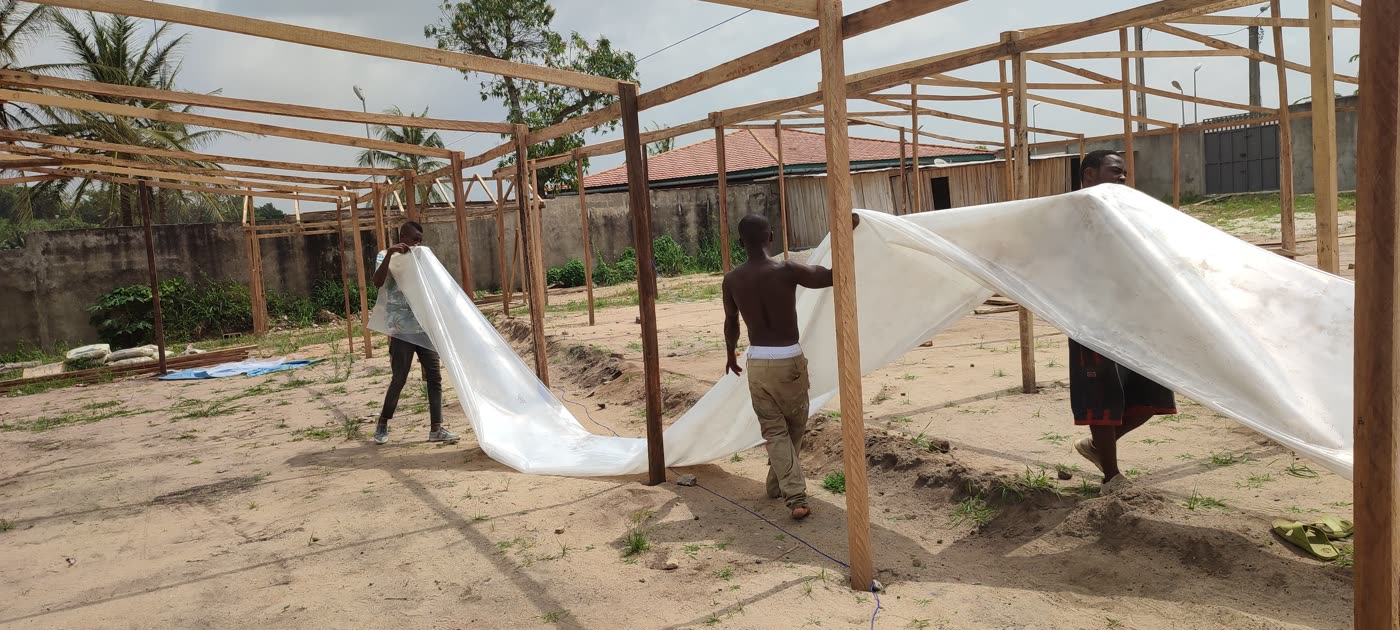 Culture de concombre sous serre (Serre Ivoire)