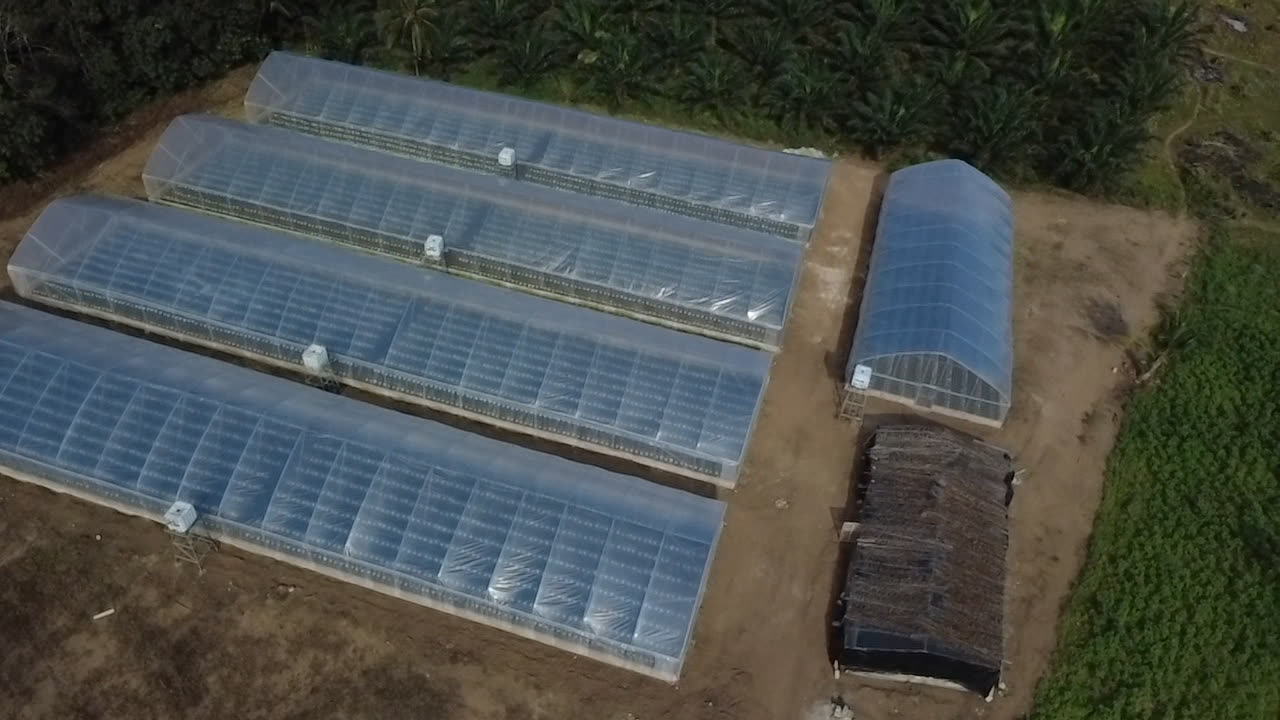 Adiaké, projet Agro Nova : 4 serres de 500 m² et une de 250 m² (2025, Serre Ivoire)