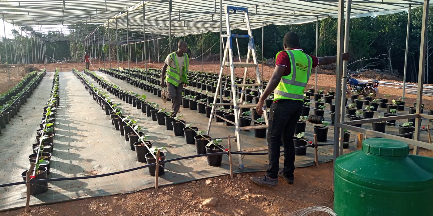 Pose de l'irrigation sous un abri de 250 m² en 2019 (Serre Ivoire)