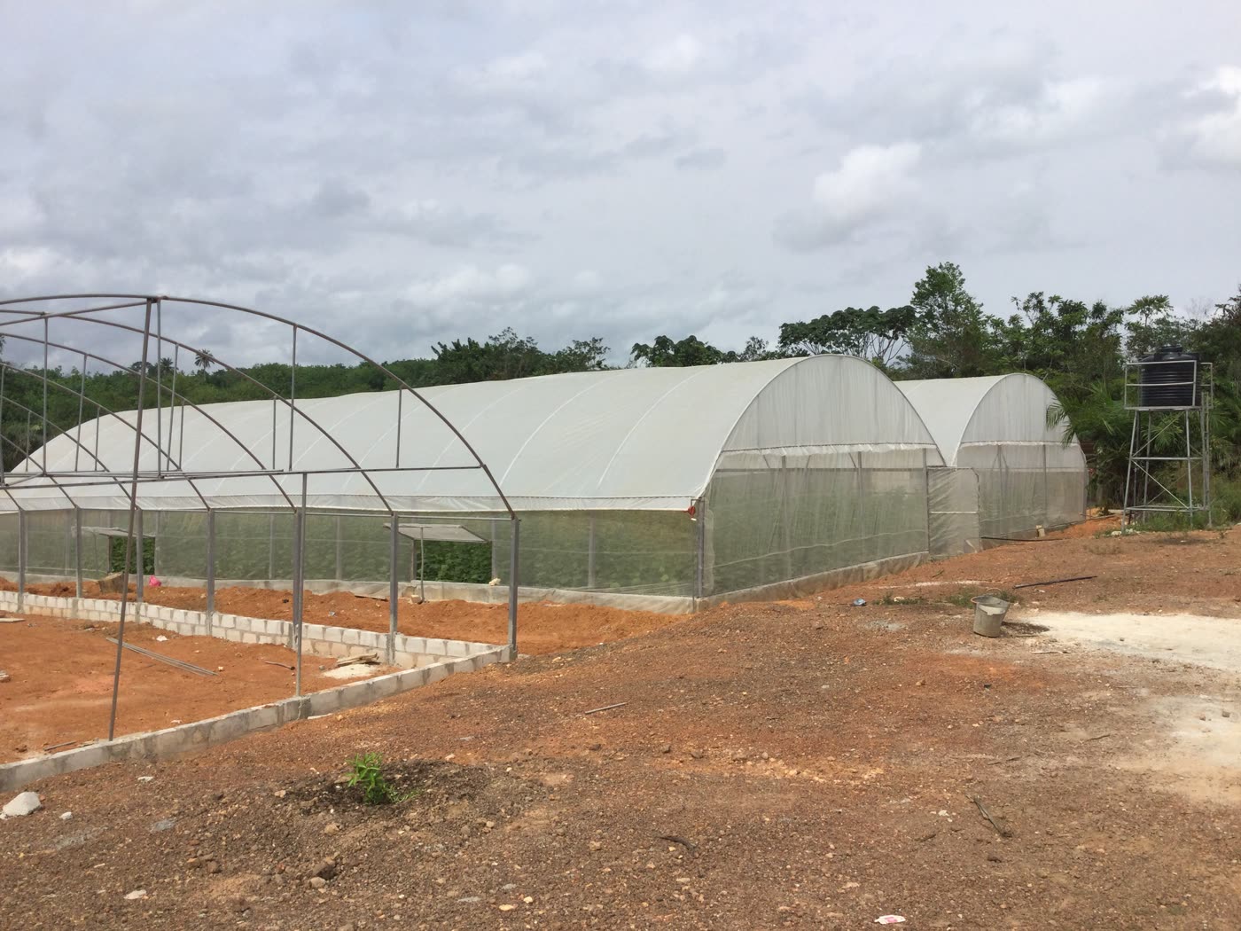 Yakassémé : 2 serres de 500 m² pour un particulier (Serre Ivoire)