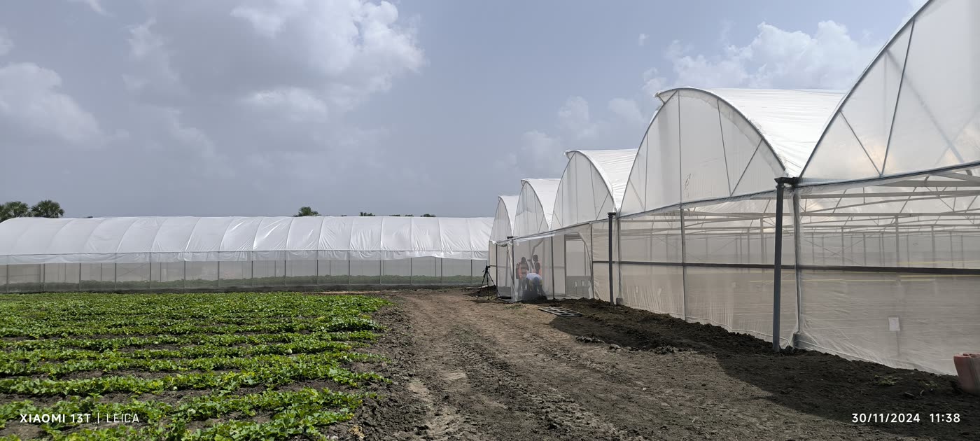 Projet Assounvoué (Serre Ivoire)