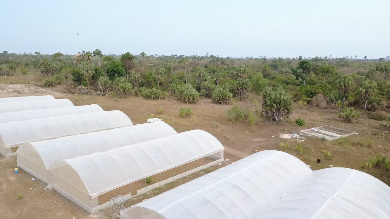 Serres installées à Ayérémou par Serre Ivoire