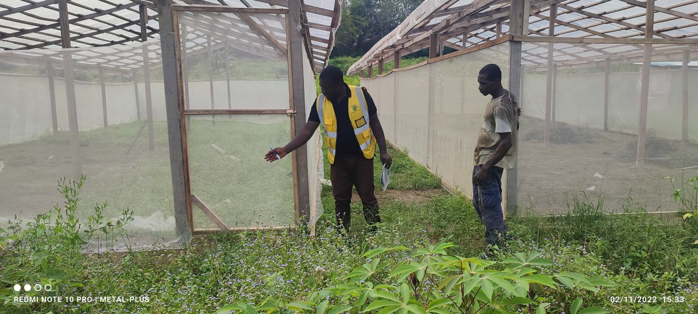 Serre au Km 22 / PK22 (Serre Ivoire)