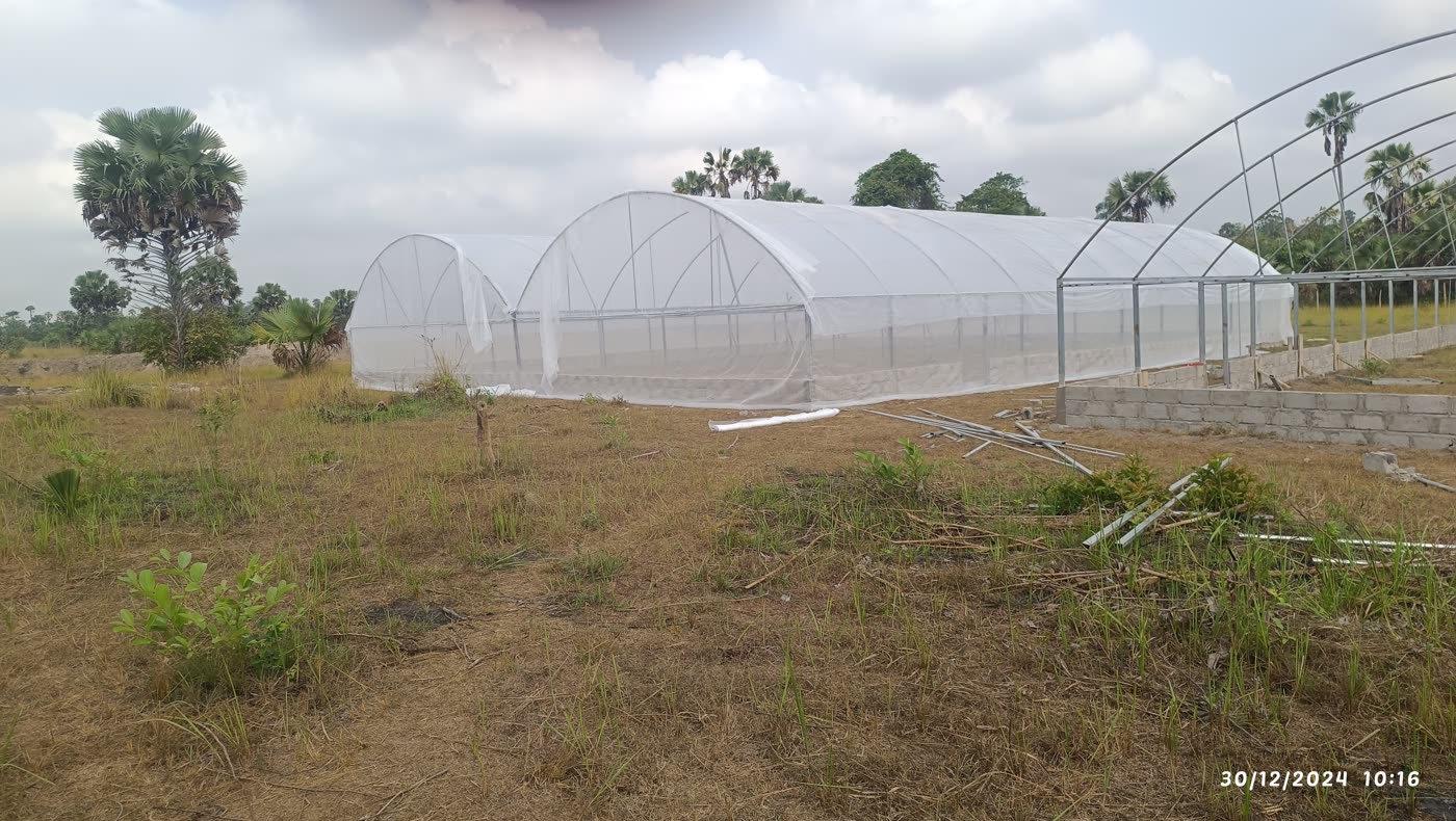 5 serres de 250 m² installées à Bondoukou par Serre Ivoire