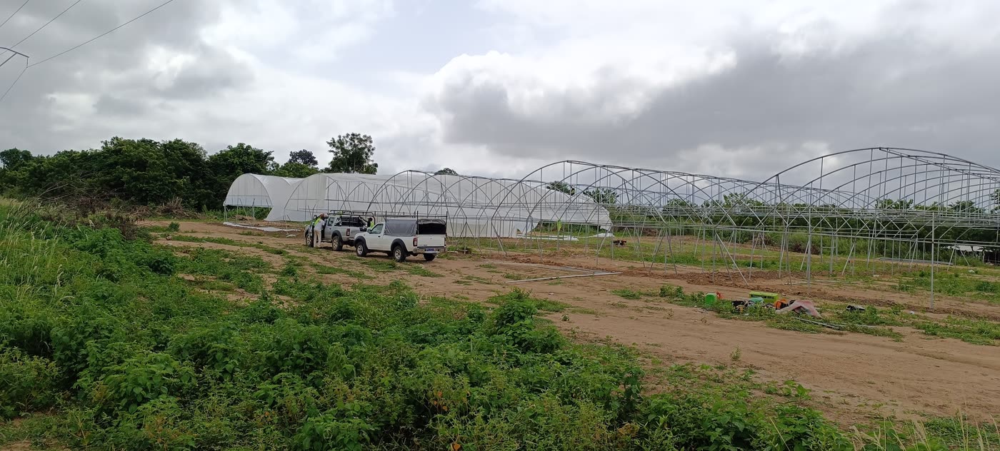 Serres installées à Yamoussoukro par Serre Ivoire