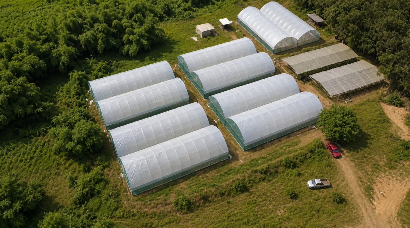 Serre agricole à Songon