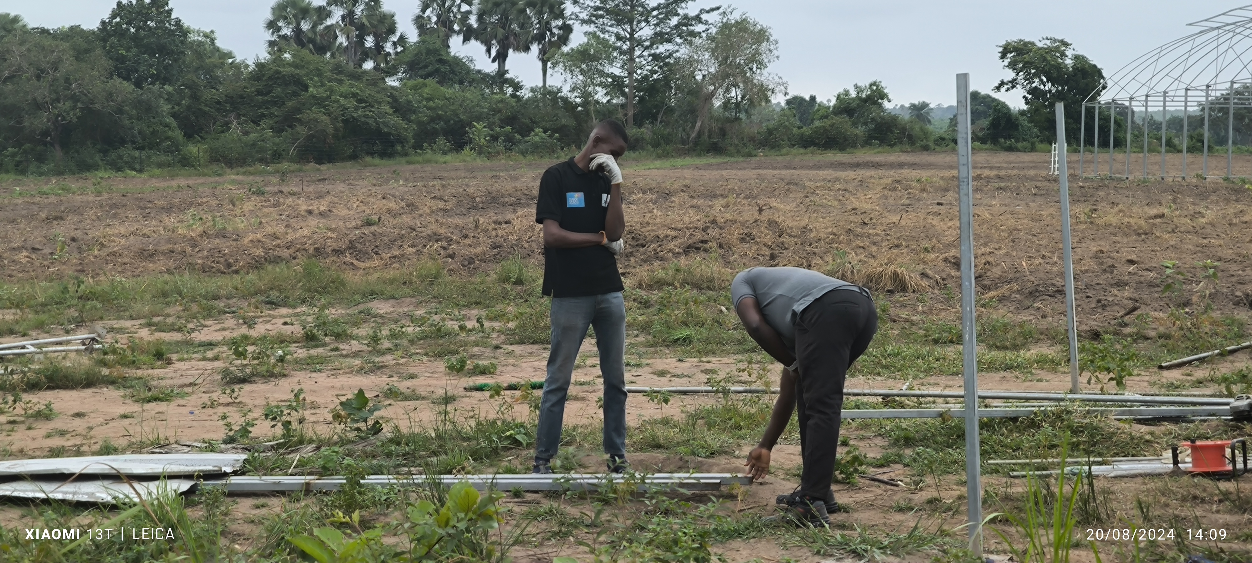 Prix d'une serre en Côte d'Ivoire : combien ça coûte et en combien de temps la rentabiliser ?