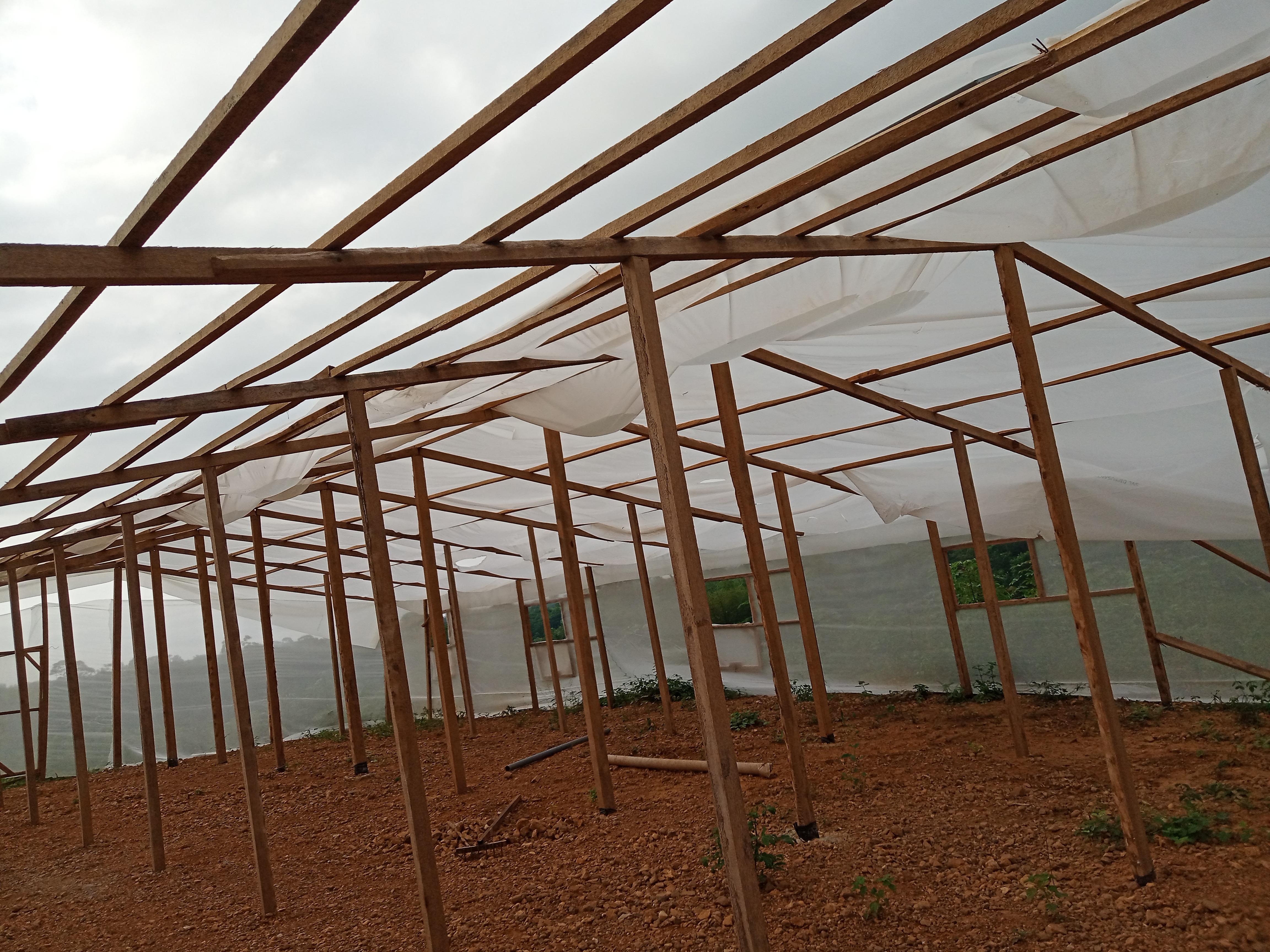 Serre potager / pépinière